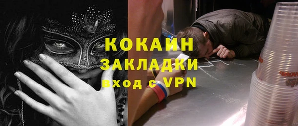 сатива Кукмор
