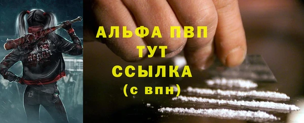 прущие грибы Куйбышев