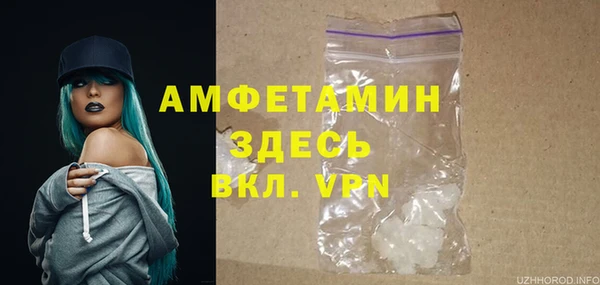 прущие грибы Куйбышев