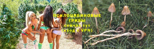 гашиш Кулебаки