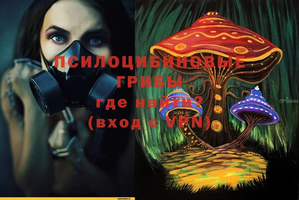 стафф Яровое