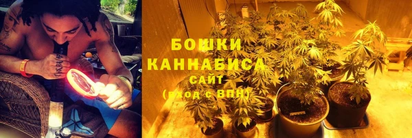 сатива Кукмор