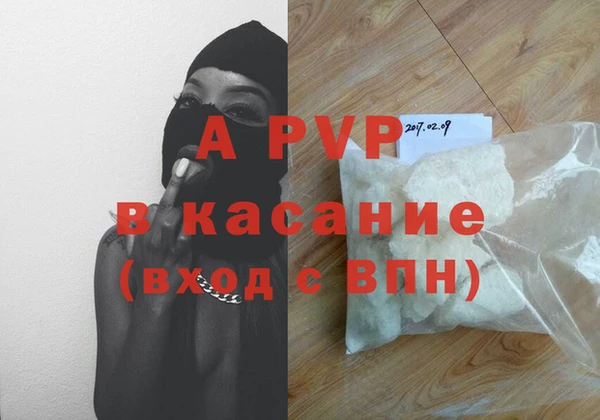 прущие грибы Куйбышев