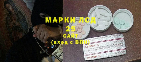 прущие грибы Куйбышев